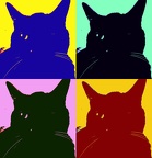 Kitties